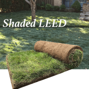 Grass Shaded LEED