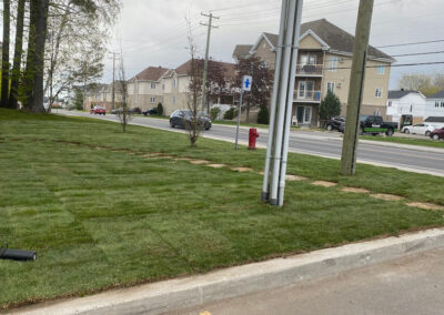 gazon kentucky installé en devanture de condo