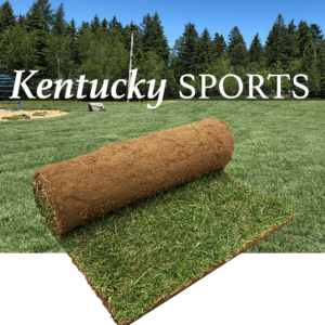 kentucky sports turf roll peat
