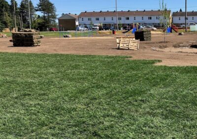 installation de tourbe dans un parc par notre équipe