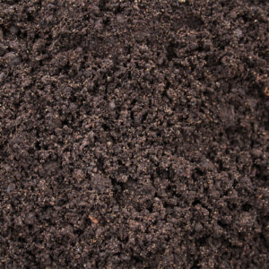 Engrais à mettre sur la terre