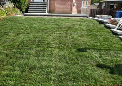 installation de gazon kentucky bluegrass a Longueuil